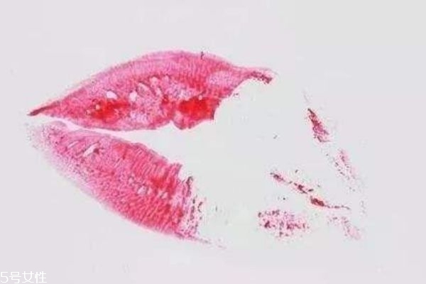 什么是口紅雨衣呢 口紅雨衣的工作原理是什么呢 什么是口紅雨衣呢 口紅雨衣的工作原理是什么呢