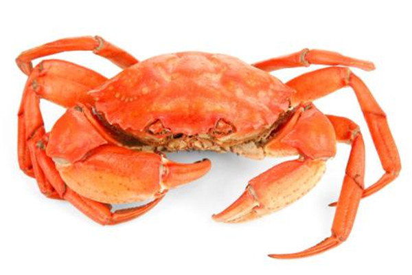 螃蟹可以冷凍嗎 螃蟹能不能冷凍 螃蟹可以冷凍嗎 螃蟹能不能冷凍