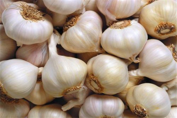 大蒜吃了惡心想吐咋辦 吃大蒜惡心想吐的補(bǔ)救方法 大蒜吃了惡心想吐咋辦 吃大蒜惡心想吐的補(bǔ)救方法