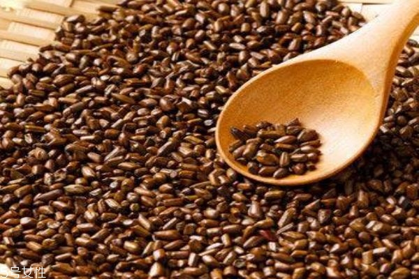 什么是決明子呢 決明子有什么用呢 什么是決明子呢 決明子有什么用呢