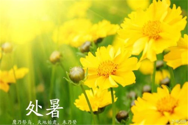 處暑可以上墳嗎 處暑應(yīng)該注意什么 處暑可以上墳嗎 處暑應(yīng)該注意什么