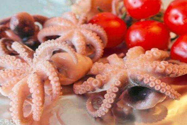 魷魚有什么營養(yǎng)價(jià)值呢 吃魷魚有什么好處呢 魷魚有什么營養(yǎng)價(jià)值呢 吃魷魚有什么好處呢