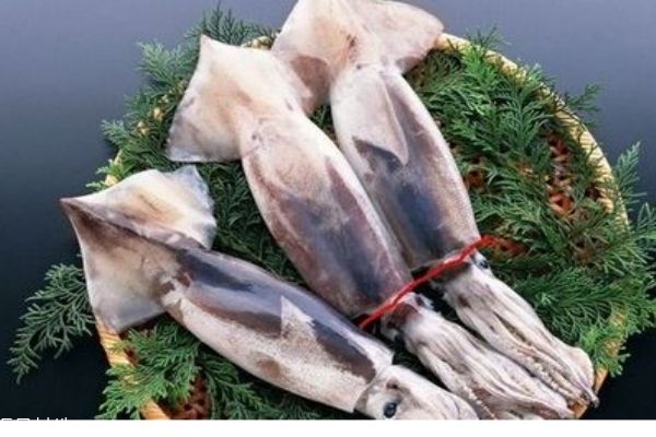 魷魚的價格是多少呢 魷魚怎么做好吃呢 魷魚的價格是多少呢 魷魚怎么做好吃呢