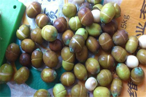 蓮子是寒性的嗎 蓮子是屬于平性的 蓮子是寒性的嗎 蓮子是屬于平性的