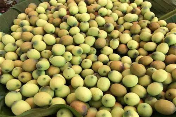 蓮子有幾種 蓮子的種類怎么區(qū)分 蓮子有幾種 蓮子的種類怎么區(qū)分