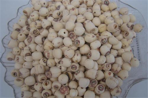 蓮子吃了會(huì)脹氣嗎 蓮子會(huì)造成脹氣嗎 蓮子吃了會(huì)脹氣嗎 蓮子會(huì)造成脹氣嗎