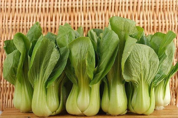 上海青是什么菜 上海青是小白菜嗎 上海青是什么菜 上海青是小白菜嗎