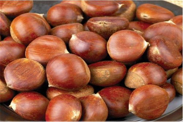 板栗是堅果嗎 板栗屬于什么食物 板栗是堅果嗎 板栗屬于什么食物