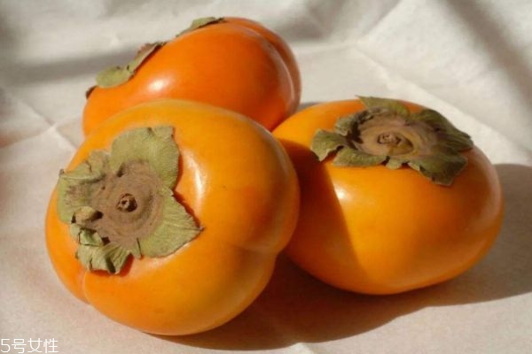柿子可以怎么儲藏呢 吃柿子的功效有什么呢 柿子可以怎么儲藏呢 吃柿子的功效有什么呢