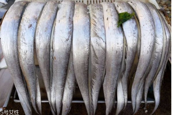 帶魚有什么營養(yǎng)價值呢 吃帶魚有什么好處呢 帶魚有什么營養(yǎng)價值呢 吃帶魚有什么好處呢