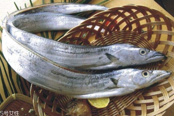 帶魚有什么營養(yǎng)價值呢 吃帶魚有什么好處呢 帶魚有什么營養(yǎng)價值呢 吃帶魚有什么好處呢