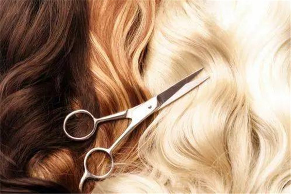 經(jīng)常染頭發(fā)會白發(fā)嗎 一般來說是不會的 經(jīng)常染頭發(fā)會白發(fā)嗎 一般來說是不會的