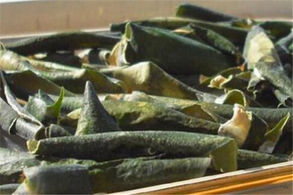 吃冬瓜會(huì)過敏嗎 冬瓜吃了會(huì)不會(huì)過敏 吃冬瓜會(huì)過敏嗎 冬瓜吃了會(huì)不會(huì)過敏