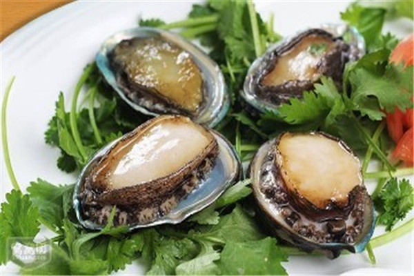 鮑魚幾頭是什么意思 鮑魚幾頭最貴 鮑魚幾頭是什么意思 鮑魚幾頭最貴