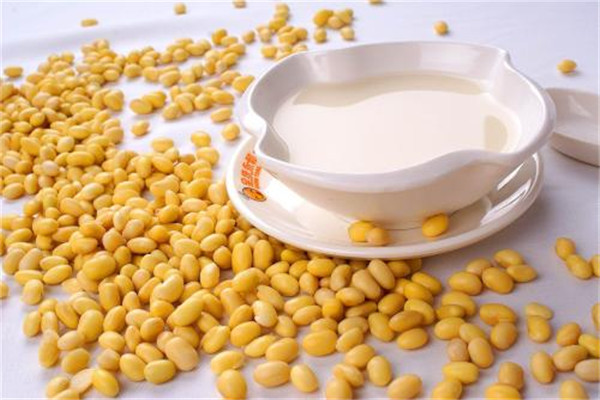 豆?jié){可以天天喝嗎 豆?jié){可以天天喝 豆?jié){可以天天喝嗎 豆?jié){可以天天喝