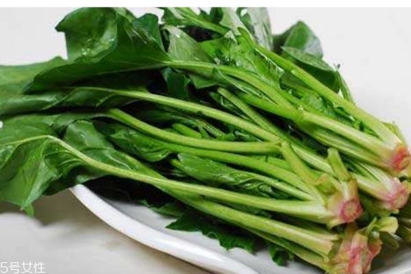 幾月份可以吃到菠菜呢 孕婦可以吃菠菜嗎 幾月份可以吃到菠菜呢 孕婦可以吃菠菜嗎