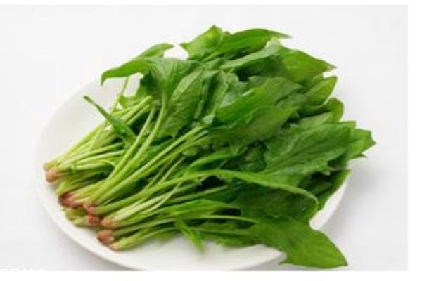 幾月份可以吃到菠菜呢 孕婦可以吃菠菜嗎 幾月份可以吃到菠菜呢 孕婦可以吃菠菜嗎