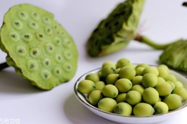 什么是蓮蓬呢 蓮蓬有什么營(yíng)養(yǎng)價(jià)值呢 什么是蓮蓬呢 蓮蓬有什么營(yíng)養(yǎng)價(jià)值呢