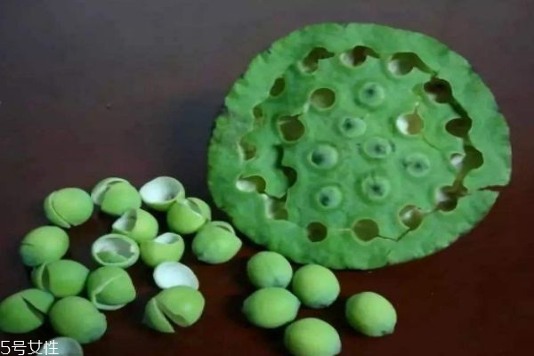 蓮蓬生長在水里嗎 蓮蓬一般什么季節(jié)成熟呢 蓮蓬生長在水里嗎 蓮蓬一般什么季節(jié)成熟呢