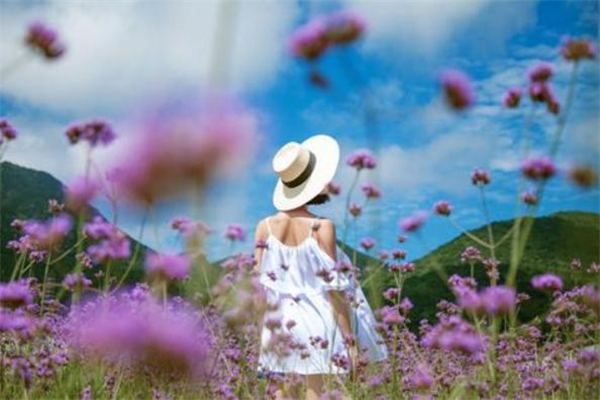 聚酯纖維衣服可以燙嗎 聚酯纖維衣服能暴曬嗎 聚酯纖維衣服可以燙嗎 聚酯纖維衣服能暴曬嗎