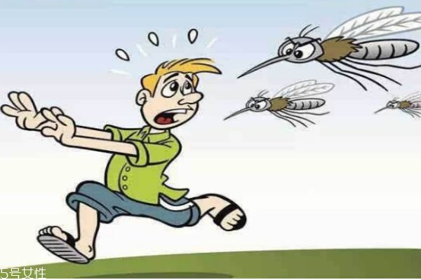 蚊子一般在什么季節(jié)比較多呢 蚊子喜歡什么血型的人群呢 蚊子一般在什么季節(jié)比較多呢 蚊子喜歡什么血型的人群呢