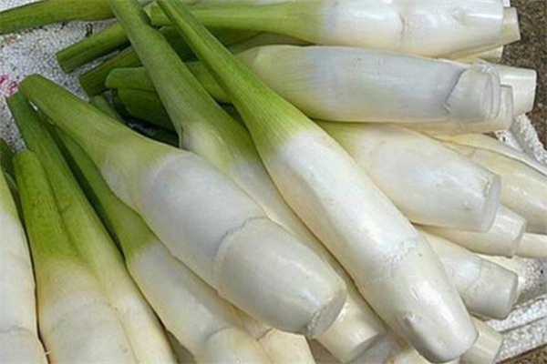 茭白吃多了會怎么樣 茭白太多吃不完怎么辦 茭白吃多了會怎么樣 茭白太多吃不完怎么辦