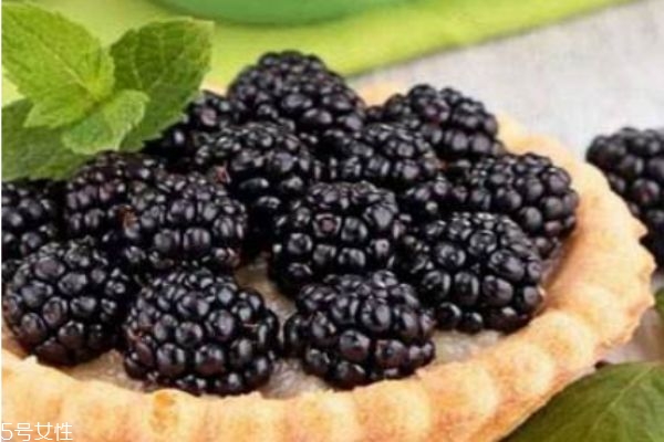 什么人群不能吃桑葚呢 桑葚多少錢一斤呢 什么人群不能吃桑葚呢 桑葚多少錢一斤呢