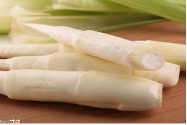 茭白一般成熟在幾月份呢 茭白一般多少錢一斤呢 茭白一般成熟在幾月份呢 茭白一般多少錢一斤呢