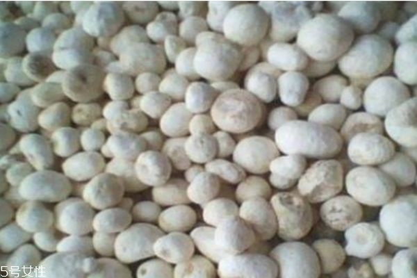 什么是半夏呢 半夏有什么價值呢 什么是半夏呢 半夏有什么價值呢