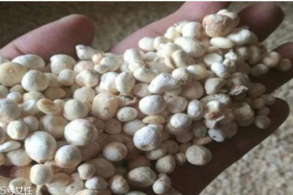 什么是半夏呢 半夏有什么價值呢 什么是半夏呢 半夏有什么價值呢