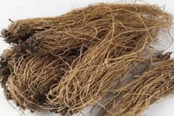 什么是白薇呢 白薇有什么價(jià)值呢 什么是白薇呢 白薇有什么價(jià)值呢