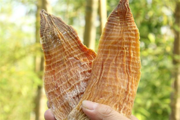 筍干用什么泡比較快軟爛 筍干能用鹽水泡嗎 筍干用什么泡比較快軟爛 筍干能用鹽水泡嗎