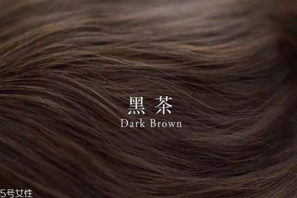 黑茶色是黑色嗎 黑茶色和亞麻色有什么區(qū)別 黑茶色是黑色嗎 黑茶色和亞麻色有什么區(qū)別