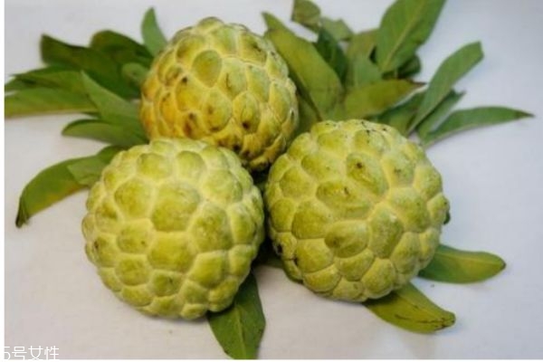 釋迦果有什么營養(yǎng)價(jià)值呢 吃釋迦果有什么好處呢 釋迦果有什么營養(yǎng)價(jià)值呢 吃釋迦果有什么好處呢