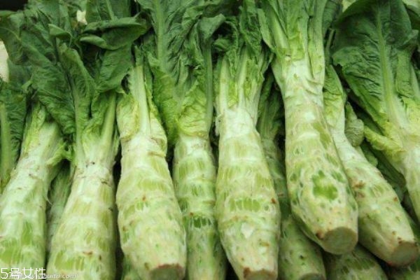 萵苣的營養(yǎng)價(jià)值有什么呢 吃萵苣有什么好處呢 萵苣的營養(yǎng)價(jià)值有什么呢 吃萵苣有什么好處呢