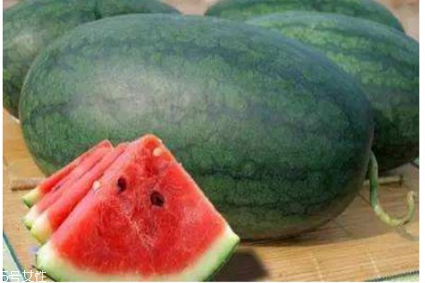 什么是黑美人瓜呢 黑美人瓜有什么作用呢 什么是黑美人瓜呢 黑美人瓜有什么作用呢