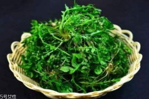 薺菜有什么營(yíng)養(yǎng)價(jià)值呢 吃薺菜有什么好處呢 薺菜有什么營(yíng)養(yǎng)價(jià)值呢 吃薺菜有什么好處呢