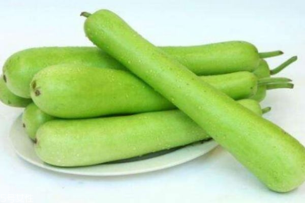 瓠瓜有什么營養(yǎng)價值呢 瓠瓜生活在什么環(huán)境里呢 瓠瓜有什么營養(yǎng)價值呢 瓠瓜生活在什么環(huán)境里呢