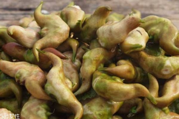 菱角有什么營養(yǎng)價值呢 菱角生長在什么環(huán)境里呢 菱角有什么營養(yǎng)價值呢 菱角生長在什么環(huán)境里呢