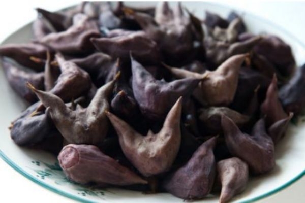 菱角有什么營養(yǎng)價值呢 菱角生長在什么環(huán)境里呢 菱角有什么營養(yǎng)價值呢 菱角生長在什么環(huán)境里呢