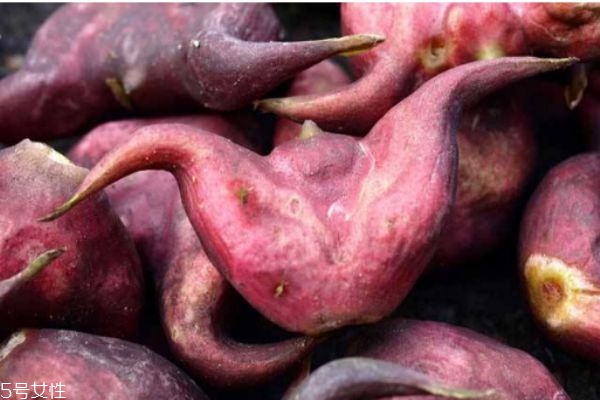 吃菱角有什么注意事項(xiàng)嗎 菱角可以怎么吃呢 吃菱角有什么注意事項(xiàng)嗎 菱角可以怎么吃呢