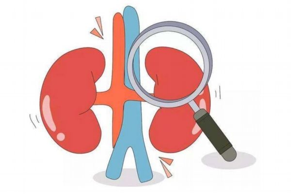 腎結(jié)石平常注意什么 腎結(jié)石飲食禁忌 腎結(jié)石平常注意什么 腎結(jié)石飲食禁忌