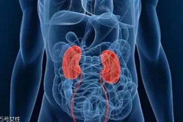 腎結(jié)石平常注意什么 腎結(jié)石飲食禁忌 腎結(jié)石平常注意什么 腎結(jié)石飲食禁忌