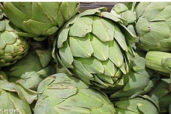 什么是朝鮮薊呢 朝鮮薊有什么營養(yǎng)價值呢 什么是朝鮮薊呢 朝鮮薊有什么營養(yǎng)價值呢