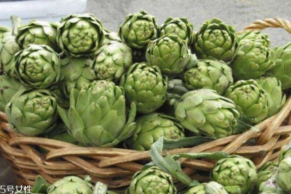 什么是朝鮮薊呢 朝鮮薊有什么營養(yǎng)價值呢 什么是朝鮮薊呢 朝鮮薊有什么營養(yǎng)價值呢