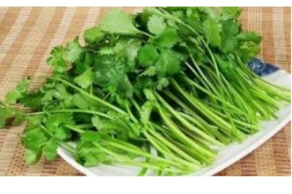 什么是蕪荽是 蕪荽有什么營(yíng)養(yǎng)價(jià)值呢