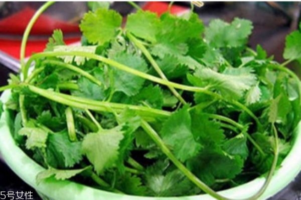 什么是蕪荽是 蕪荽有什么營(yíng)養(yǎng)價(jià)值呢