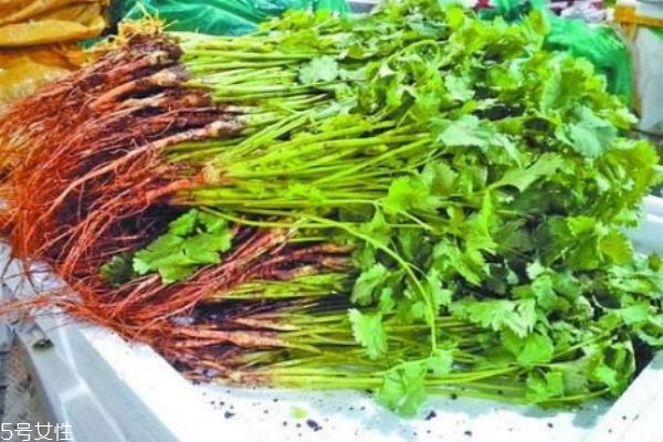 什么是蕪荽是 蕪荽有什么營(yíng)養(yǎng)價(jià)值呢