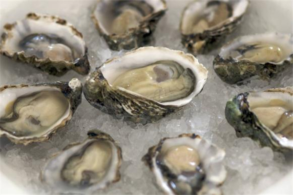 生蠔冷凍還是冷藏 帶殼的生蠔冷藏可以保存多久 生蠔冷凍還是冷藏 帶殼的生蠔冷藏可以保存多久