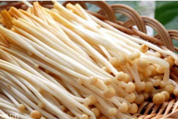 金針菇有什么營養(yǎng)價(jià)值呢 金針菇生長在什么環(huán)境下呢 金針菇有什么營養(yǎng)價(jià)值呢 金針菇生長在什么環(huán)境下呢